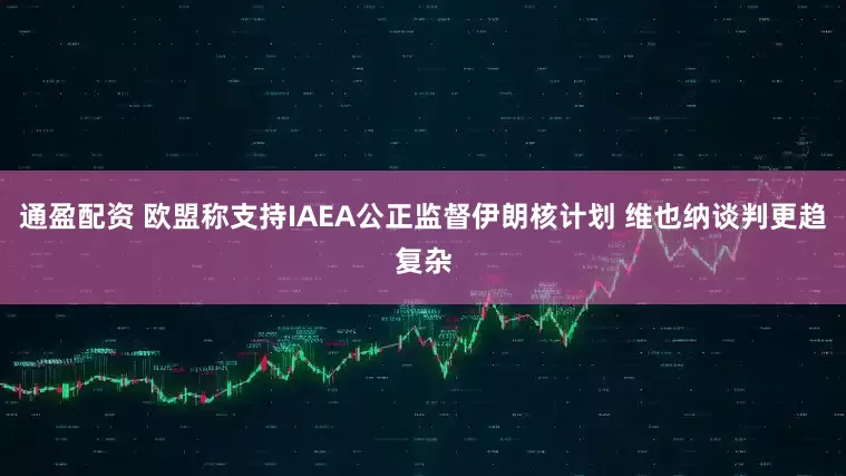 通盈配资 欧盟称支持IAEA公正监督伊朗核计划 维也纳谈判更趋复杂