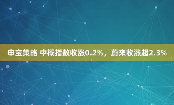 申宝策略 中概指数收涨0.2%，蔚来收涨超2.3%