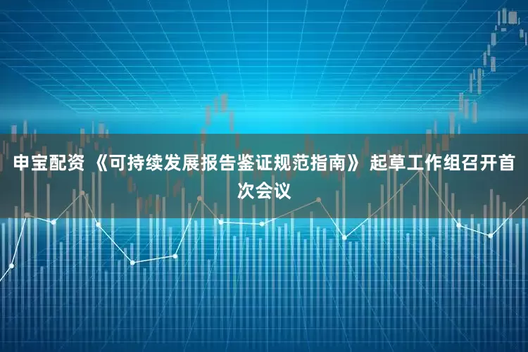 申宝配资 《可持续发展报告鉴证规范指南》 起草工作组召开首次会议