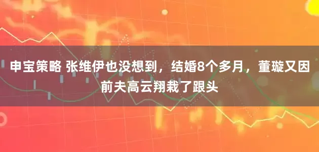 申宝策略 张维伊也没想到，结婚8个多月，董璇又因前夫高云翔栽了跟头